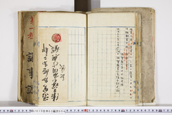 明い010030040006.jpg