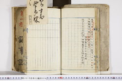 明い010030040011.jpg