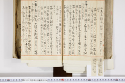 明い010030040014.jpg