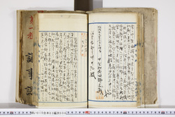 明い010030060003.jpg