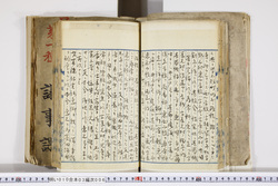 明い010030060004.jpg