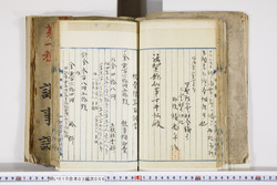 明い010030060005.jpg