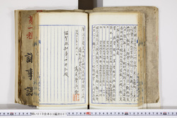明い010030070005.jpg