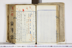 明い010030070006.jpg