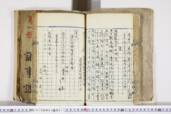 明い010030110002.jpg