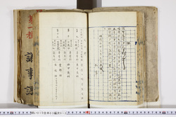 明い010030120002.jpg