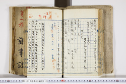 明い010030130003.jpg