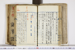 明い010030140002.jpg