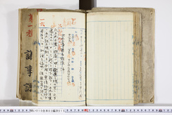 明い010030150007.jpg