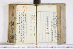 明い010030180004.jpg