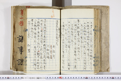 明い010030260003.jpg