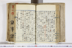 明い010030270002.jpg