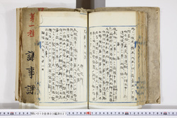 明い010030270004.jpg