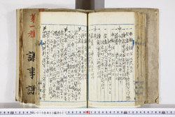 明い010030270009.jpg