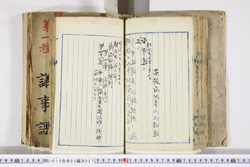 明い010030270011.jpg
