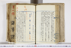 明い010030290007.jpg