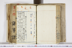 明い010030310009.jpg