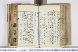 明い010030320002.jpg