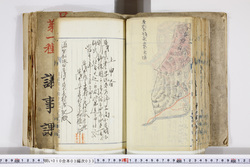 明い010030330007.jpg