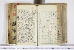 明い010030330009.jpg