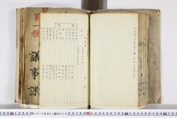 明い010030350009.jpg