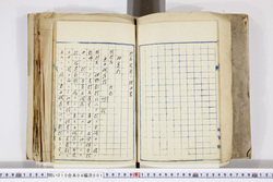 明い010040010005.jpg