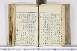 明い010040010006.jpg