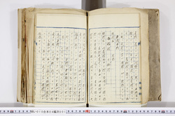 明い010040010007.jpg