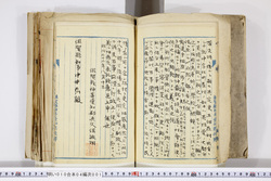 明い010040010010.jpg