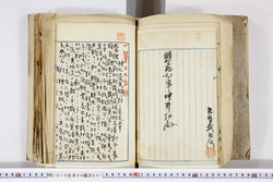 明い010040010017.jpg