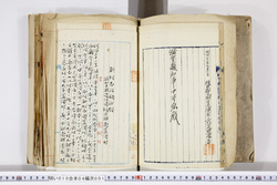 明い010040010020.jpg