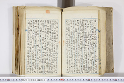 明い010040010021.jpg