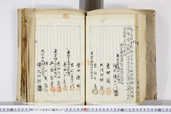 明い010040010022.jpg