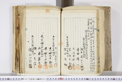 明い010040010026.jpg