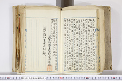 明い010040010028.jpg