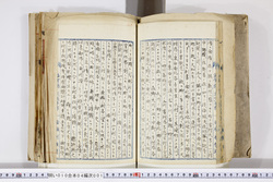 明い010040010030.jpg