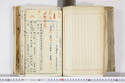 明い010040010032.jpg