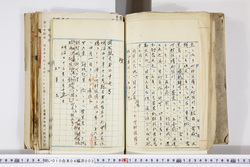 明い010040020002.jpg
