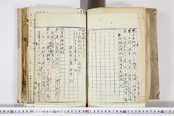 明い010040030002.jpg