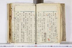 明い010040030003.jpg