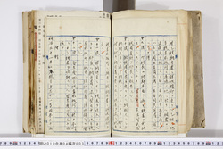 明い010040030004.jpg
