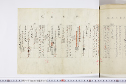 明い010040030007.jpg