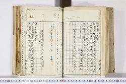 明い010040040002.jpg