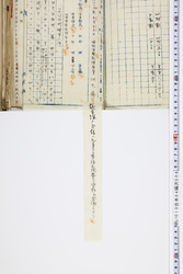 明い010040060002.jpg