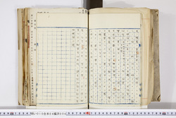 明い010040060003.jpg