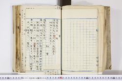 明い010040060004.jpg