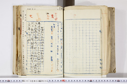 明い010040060007.jpg