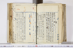 明い010040070002.jpg