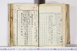 明い010040080002.jpg