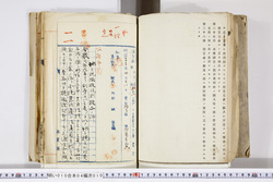 明い010040100003.jpg